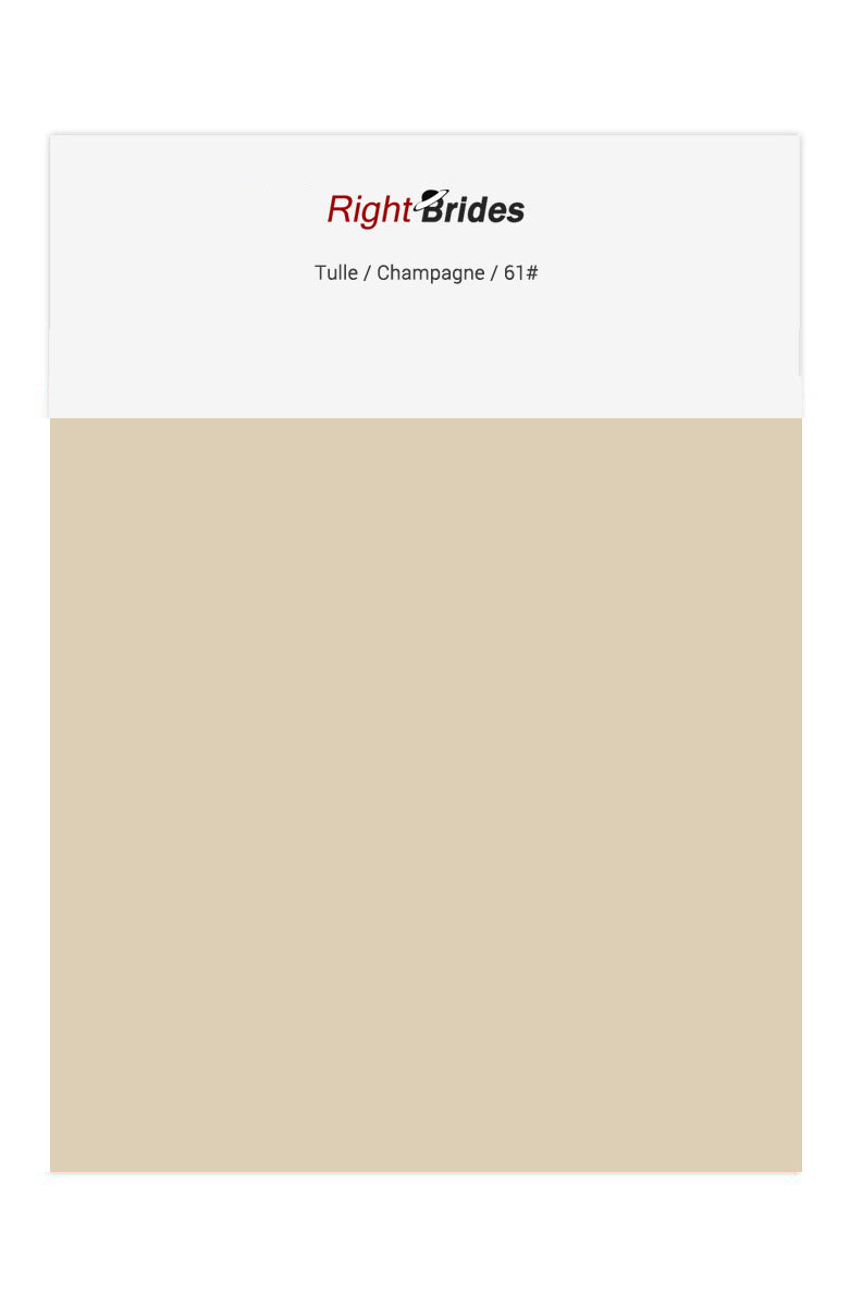 Champagne Color Swatches for Tulle Bridesmaid Dresses