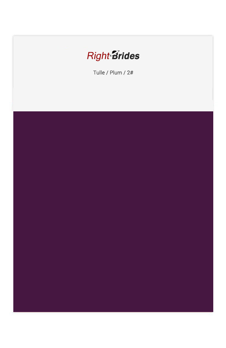 Plum Color Swatches for Tulle Bridesmaid Dresses